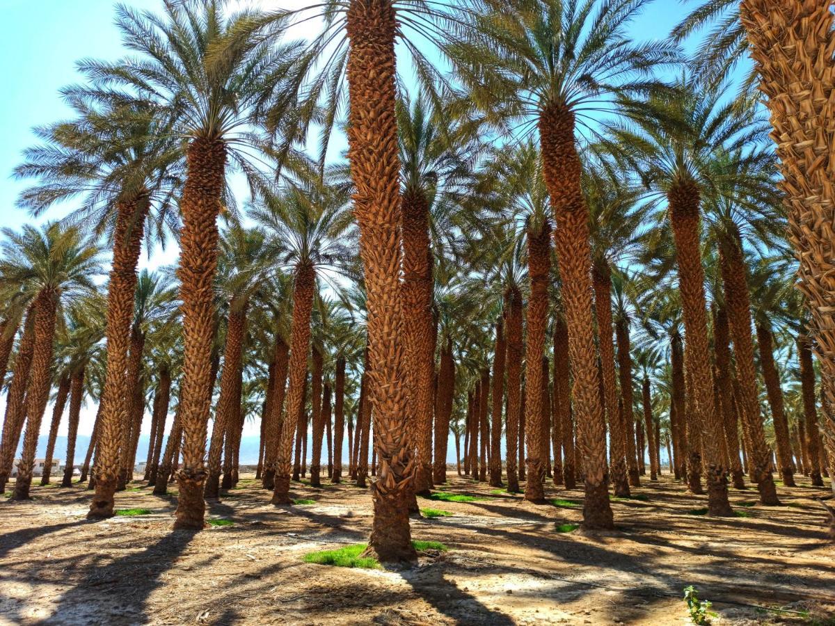Kibbutz Ketura Guest House Nahal Ya'alon Esterno foto